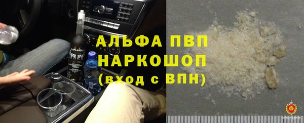 гидра Белокуриха