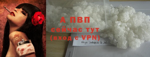 гидра Белокуриха