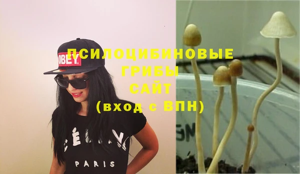 гидра Белокуриха