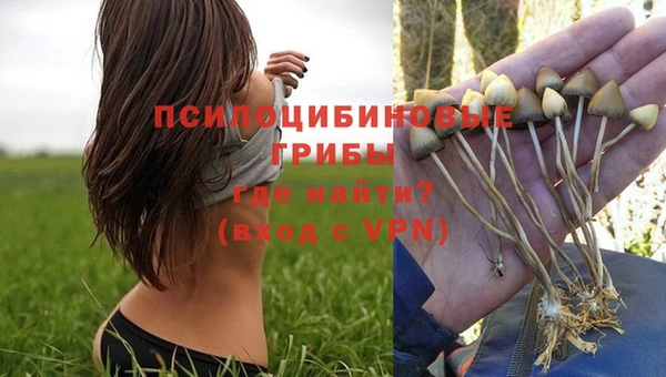 крисы Беломорск