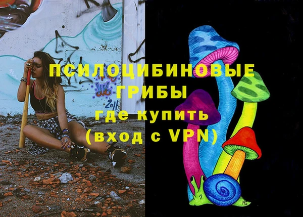 крисы Беломорск