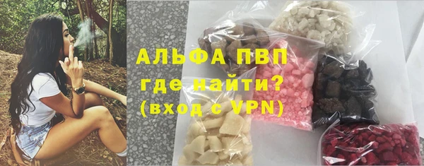 гидра Белокуриха