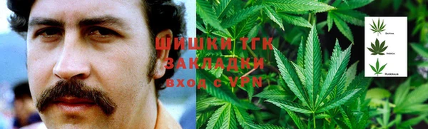 гидра Белокуриха