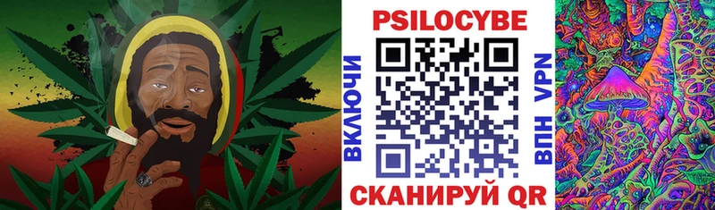 Галлюциногенные грибы Magic Shrooms  купить наркотик  Демидов 